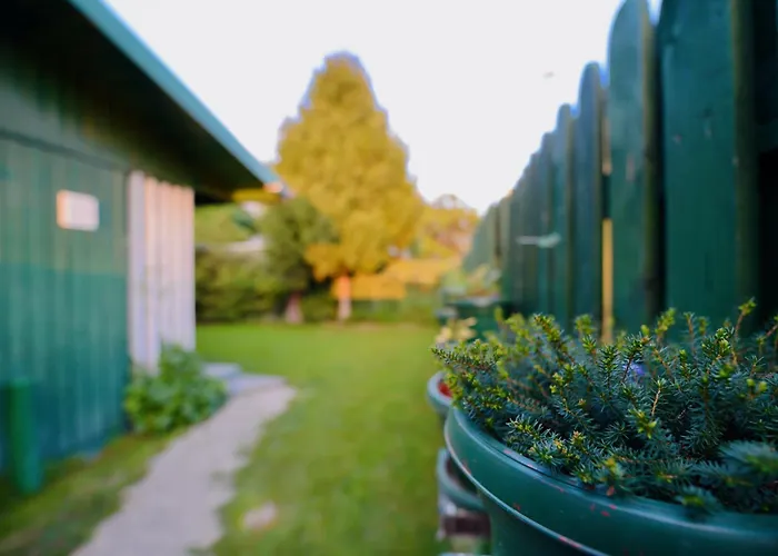 Soko Guesthouse & Garden