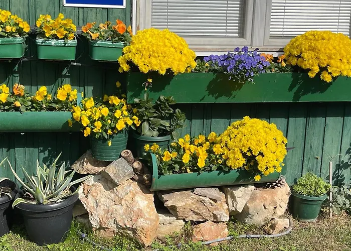 Soko Guesthouse & Garden