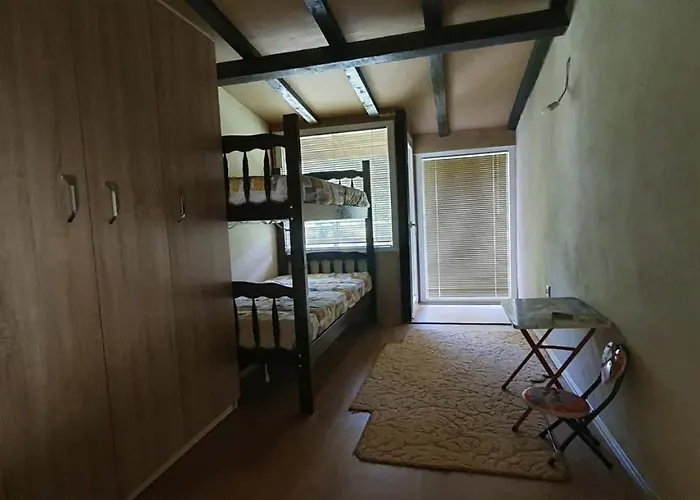 Svinista Vilage