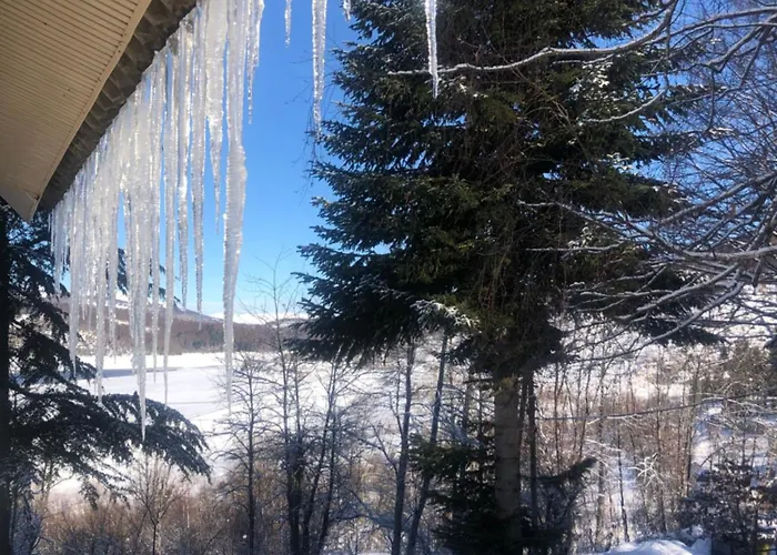 Mavrovo Lake Chalet