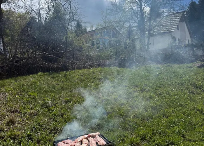 Mavrovo Lake Chalet